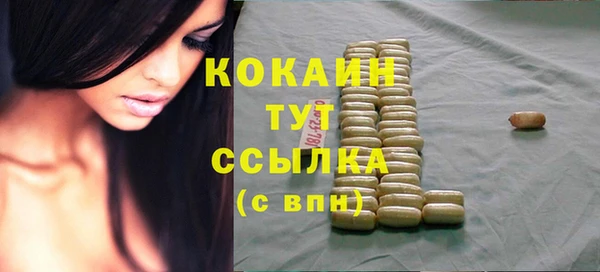 спайс Алексин