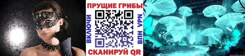 Галлюциногенные грибы GOLDEN TEACHER  Амурск 